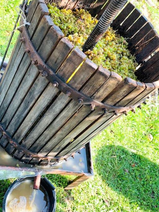 La-Marti, Idyllische Unterkunft Mit Kamin Bagdati Buitenkant foto